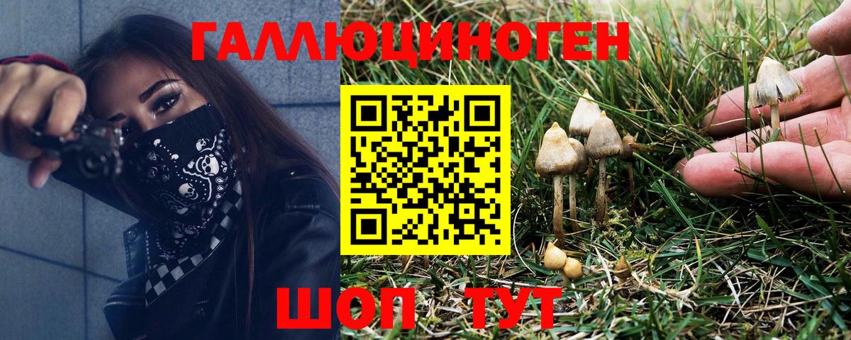 Нижнеудинск  Псилоцибиновые грибы GOLDEN TEACHER  Вход с VPN 