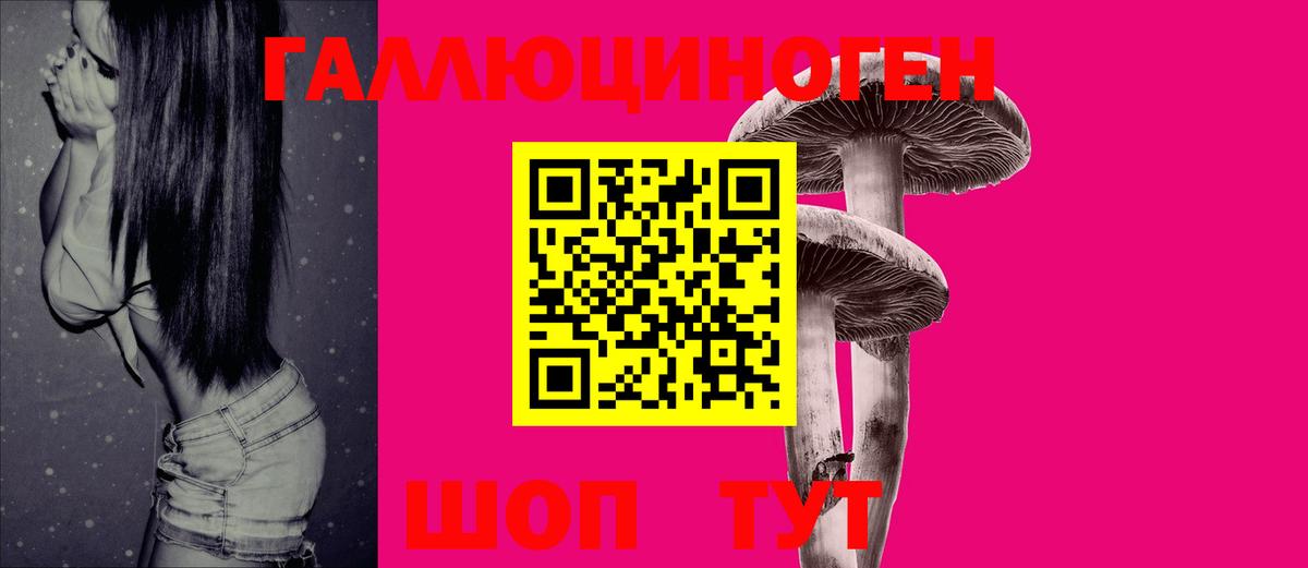 Галлюциногенные грибы мухоморы Нижнеудинск
